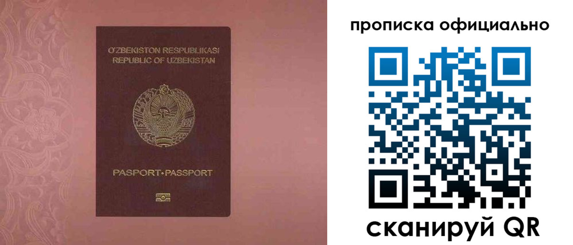 прописка гарантия в Ворсме